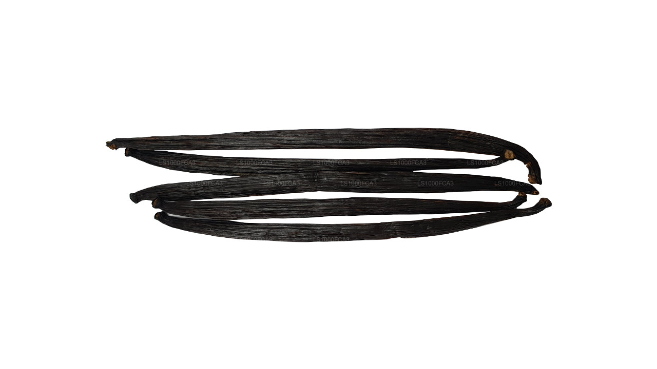 Lakpura Sri Lankan (Ceylon) Grade „A” natuurlijke vanillebonen
