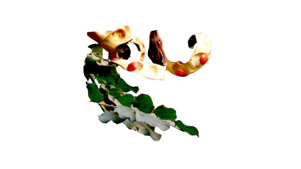 Lakpura Madatiya-zaden (rode zaden, decoratieve zaden) 250 zaden